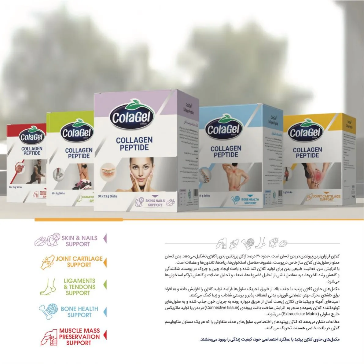 Page 25 - MFDS Catalog